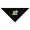 SOL'S Bandana Thumbnail